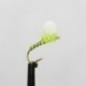chartreuse glister suspender buzzer