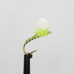 chartreuse glister suspender buzzer
