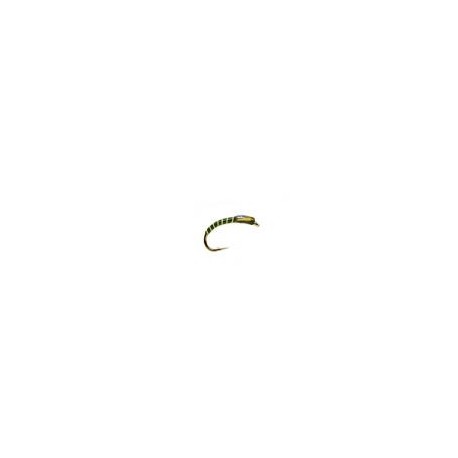 Flo Green Ribbed Olive Buzzer