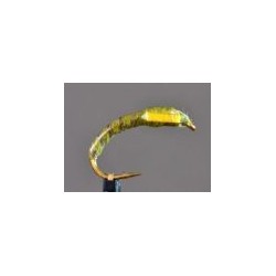 Green Stripped Quill Buzzer