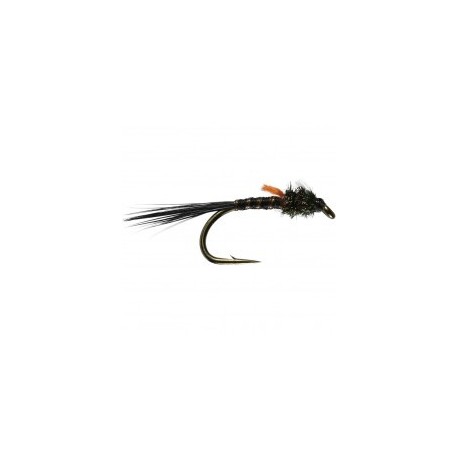 hatching black buzzer