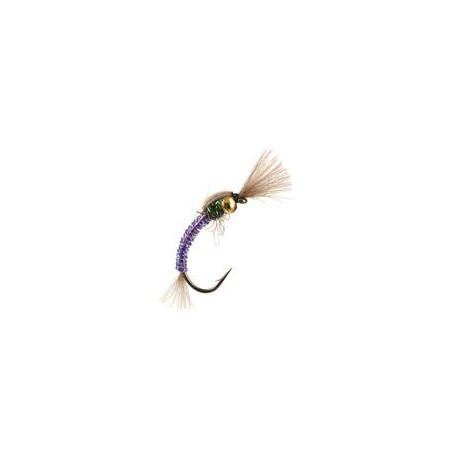 Hatching Buzzer Purple