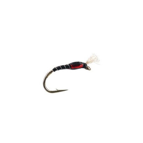 Highlander Buzzer Black Red