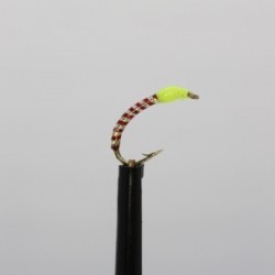 lime neon pinhead buzzer