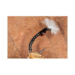 Mirror Image Grey Boy