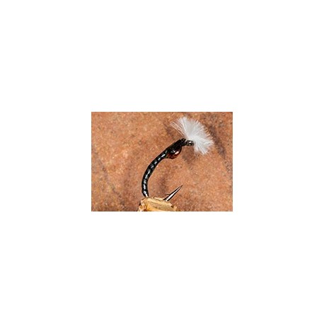 Mirror Image Grey Boy