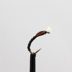 monroe s epoxy buzzer