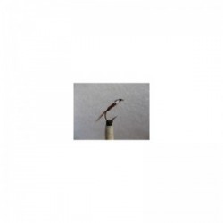 pheasant tail muskins nymph( )