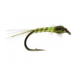 Olive quill orange FB