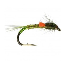 Olive Quill SH Buzzer