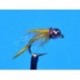 Spirit River Tom Page UV  Mangy Prince