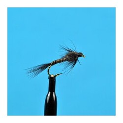 Black Quill Nymph