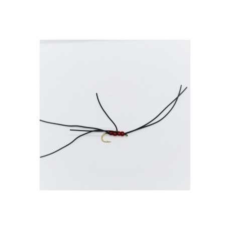 northern black blood worm