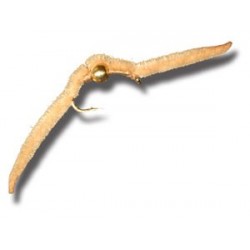 BH San Juan Worm Tan