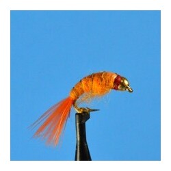 Bighorn Scud