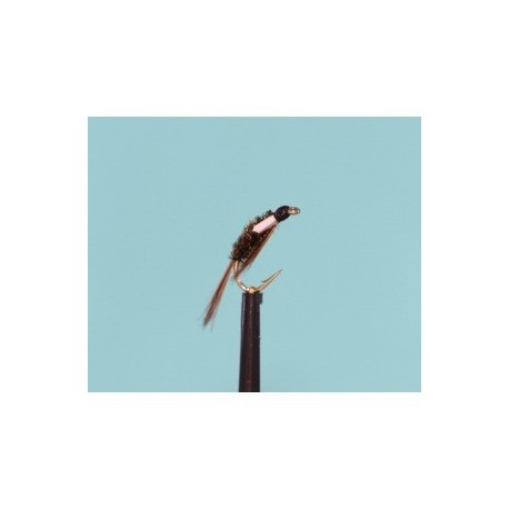 white goose biot cheeks diawl bach