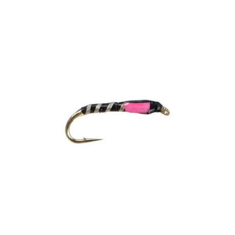 Pink Thorax Buzzer
