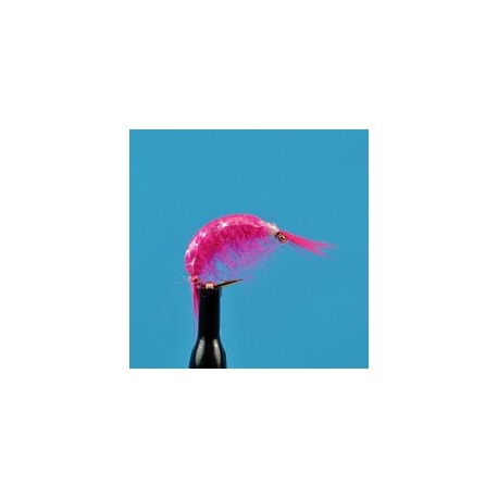 Scud Pink