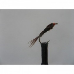 standard pheasant tail