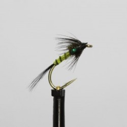 black olive bodied green cheeks cruncher