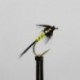 black yellow bodied silver cheeks cruncher