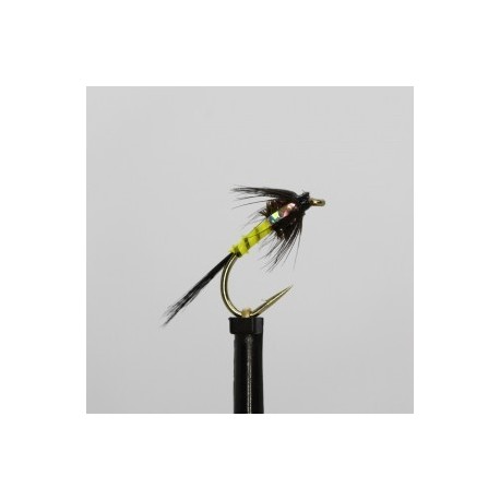 black yellow bodied silver cheeks cruncher