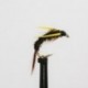 buzzer holo gold diawl bach