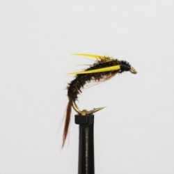 buzzer holo gold diawl bach