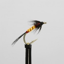 black orange bodied red cheeks cruncher