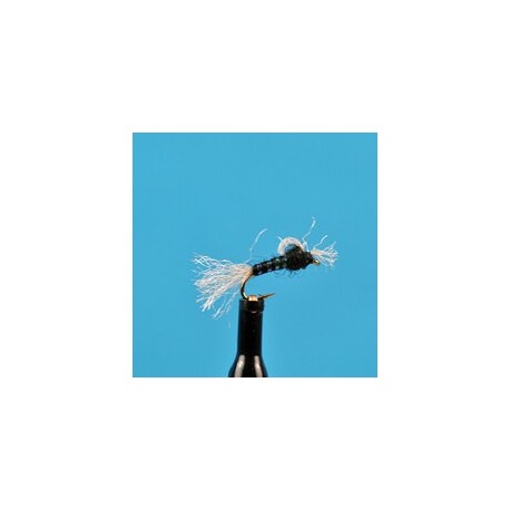 Suspended Midge Pupa   Black