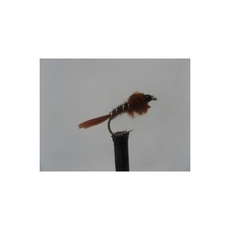 collier brown nymph
