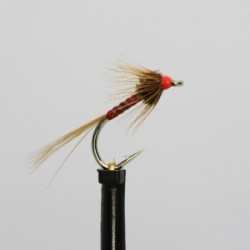 nemo holo red cruncher