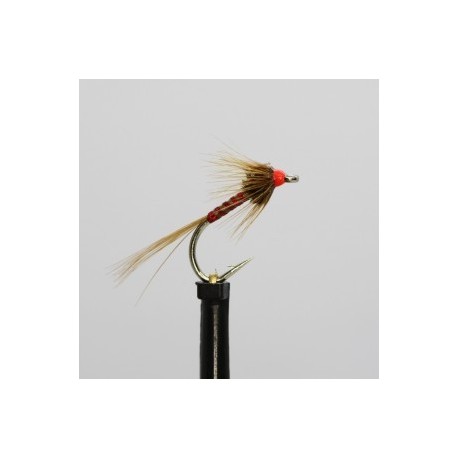 nemo holo red cruncher