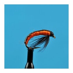 Eastern European Grub