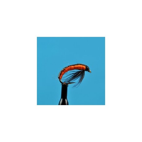 Eastern European Grub