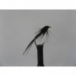 black pheasant tail