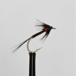 black quill holo red cheeks cruncher