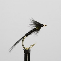 ians black fusion olive cruncher