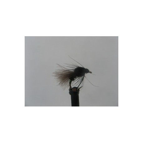 black buzzer emerger cdc