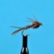 Pheasant Tail Nymph