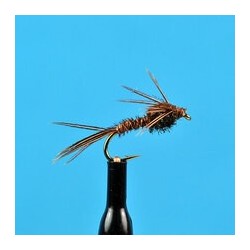 Pheasant Tail Nymph