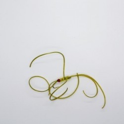 northern golden olive blood worm