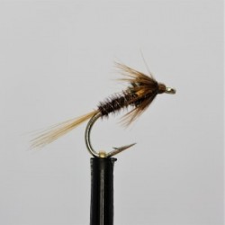 standard sunburst cheeks cruncher