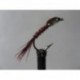bloody pheasant tail