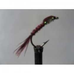 bloody pheasant tail