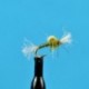 Suspended Midge Pupa   Olive