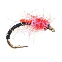 Red Tag Quill Buzzer