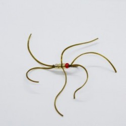 northern olive blood worm