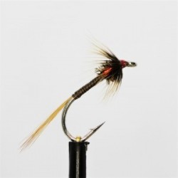 standard quill holo red cheeks cruncher