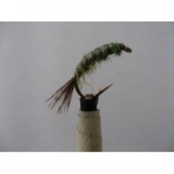 weighted olive shrimp